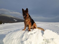 /album/fotogaleria-galeria/denny-zima-2016-jpg1/